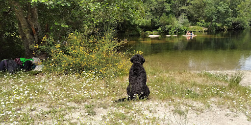 Praia fluvial de Foxaco - Thumbnail