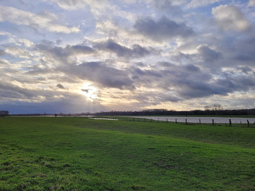Bislicher Insel - Thumbnail