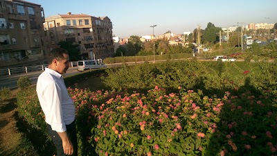 Photos of Psx bannaniers