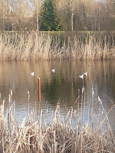 Parc de la Roselière
