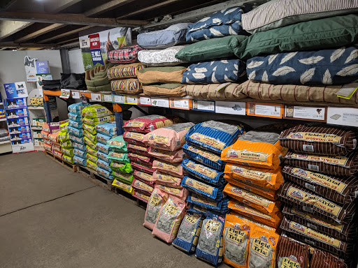 Youngs Animal Feeds Ltd Gallery - United Kingdom