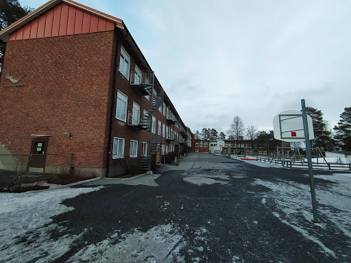 Berghemsskolan