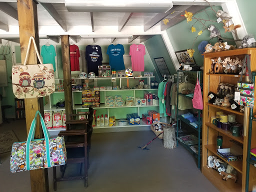 Camp Store - Visual