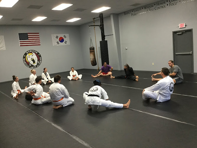 Webster Martial Arts of Madison - brazilian jiu jitsu in Madison, Alabama