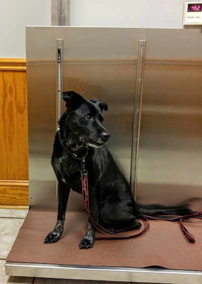 Photos of Westbury Veterinary Clinic