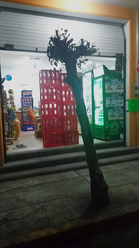 Deposito Nolasco