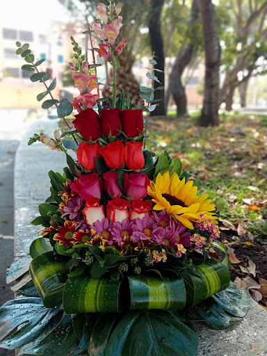 Florería Glorieta Las Fuentes - Thumbnail