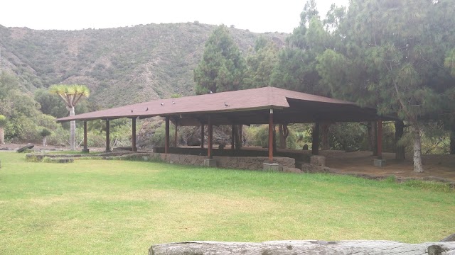 Jardín Botánico Canario Viera y Clavijo