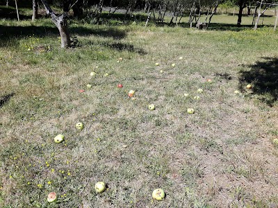 Photos of El kumillal de los humedales