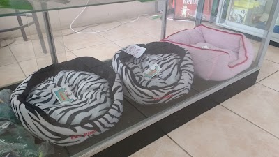 Photos of Kennel Veterinary Clinic