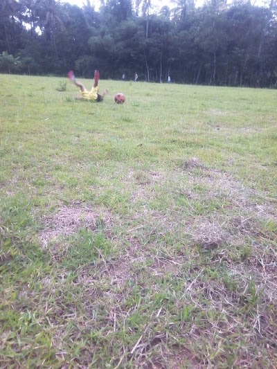 Photos of Lapangan Benteng Rejo