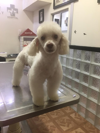 Veterinaria San José Dr.Mora