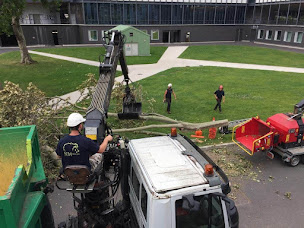 Photo n°5 de SERPE - Agence de Paris à Moussy-le-Neuf (Paysagiste)