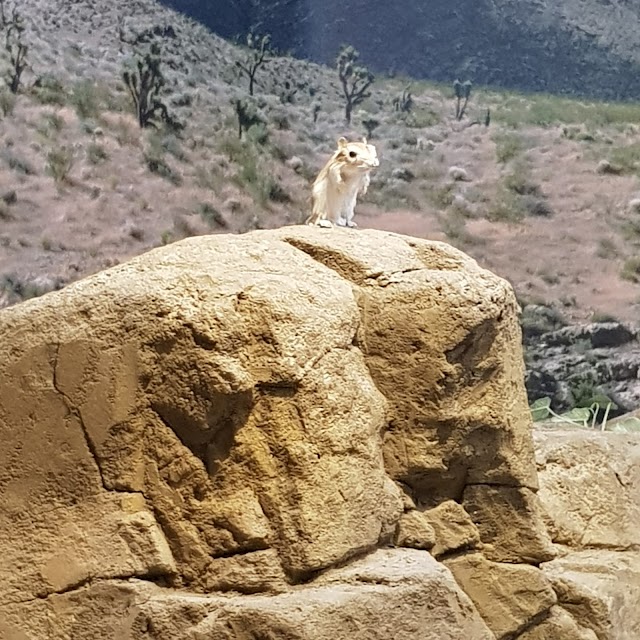 Natural History Museum of Utah