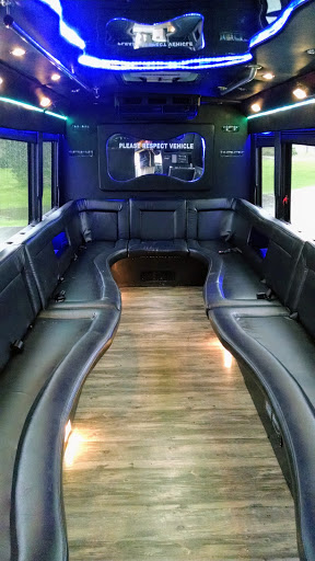 Party Bus - Visual