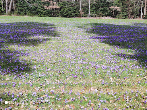 Parkplatz Ruhewald Teinach-Zavelstein