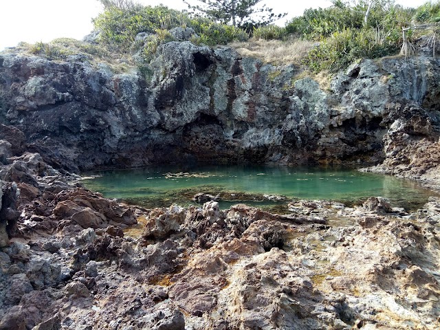 Cape Hillsborough National Park