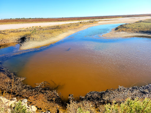 Sandpiper Nature Trail Gallery - United States