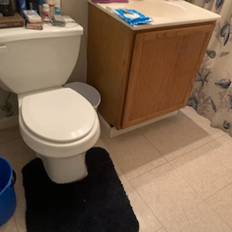 DIY Bathroom Cleaning and Rust Removal - CleanMyTribe