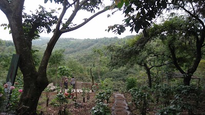 Photos of Jardines De Do&ntilde;a Lina