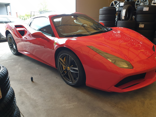 Comentarii opinii despre Gumer Opony