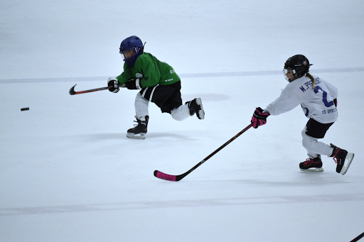 TGH Ice Plex - Visual
