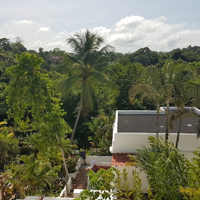 Photos of Selina Manuel Antonio