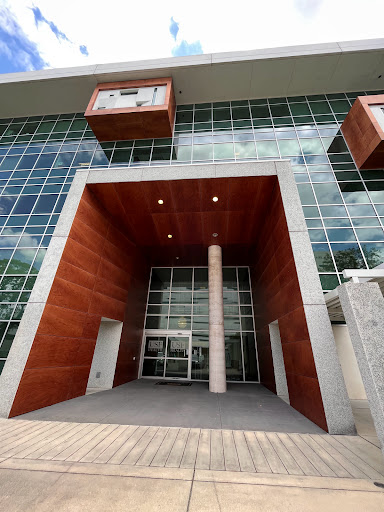 USF Information Technology - Visual