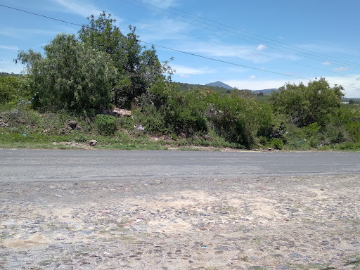 Félix Olvera - Visual