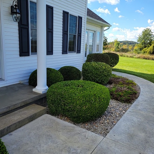 colossal landscaping