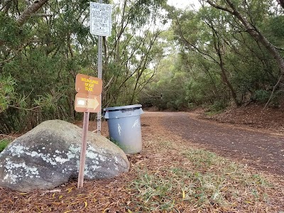 Wiliwilinui Hiking Trail