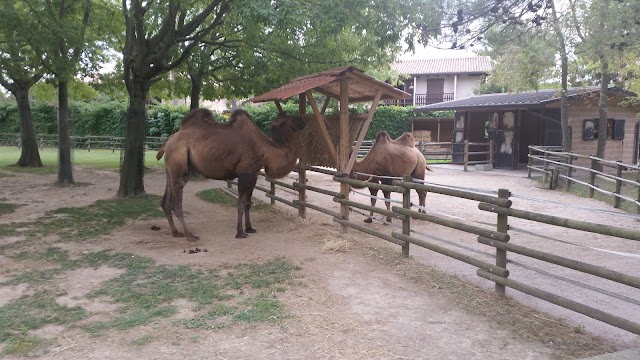 Parco Zoo Punta Verde