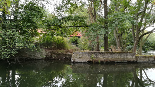 Bodewehr Adersleber Park - Thumbnail