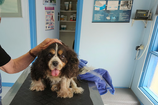 Jannali Veterinary Clinic - Thumbnail