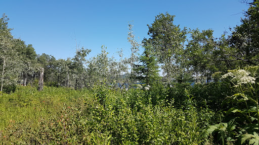 Skins Lake Spillway Campground - Thumbnail