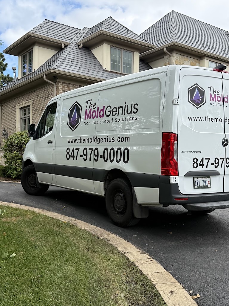 The Mold Genius photo