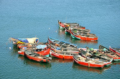 Photos of Le port