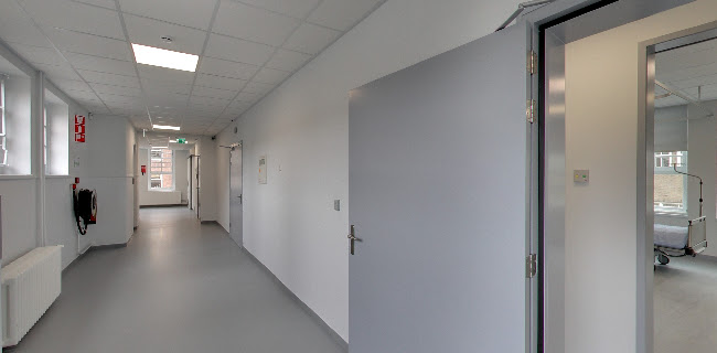 Boerhaave