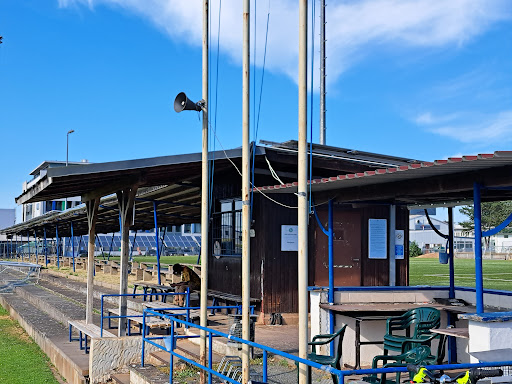 RSV Germania 03 Pfungstadt - Thumbnail