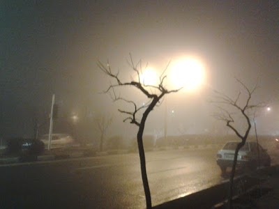 Photos of Bozorgmehr Park