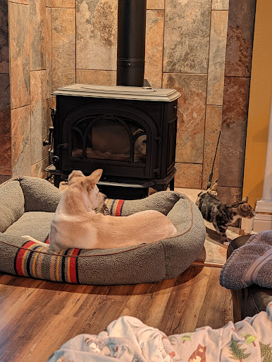 Chanticleer Veterinary Hospital Gallery - United States