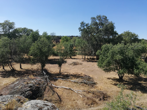 Columpios Park - Visual