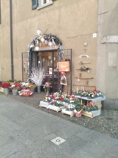 La Bottega Del Fiore S.N.C. Di Pastorelli Barbara E Donatella Logo