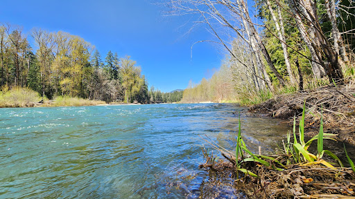 Cowichan River Provincial Park - Thumbnail