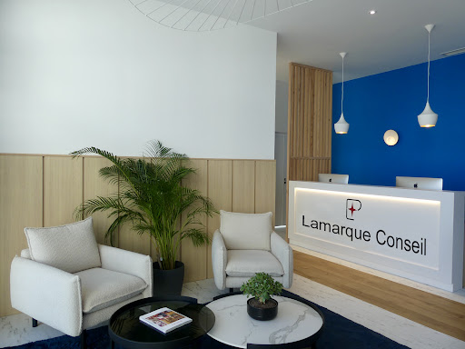 Lamarque conseil - Experts et patrimoine