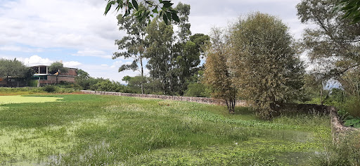 Presa Principal - Thumbnail