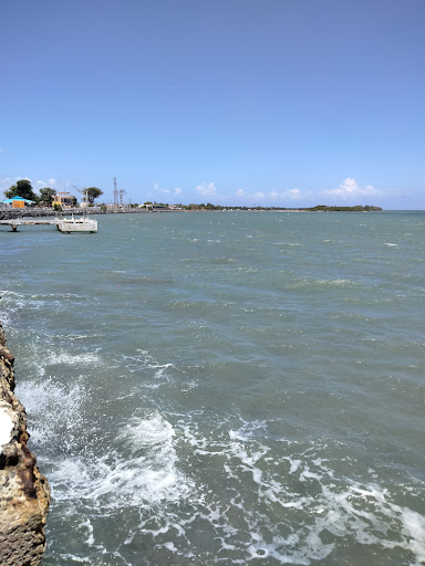Sea Angel's Gallery - United States