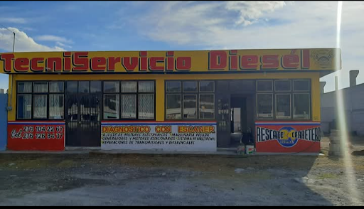 Tecni Servicio Diesel de Oriente