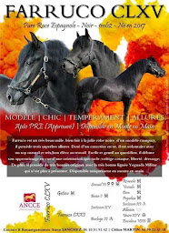 Photo n°9 de Elevage d’Argent à Saint-Usuge (Club d'équitation)