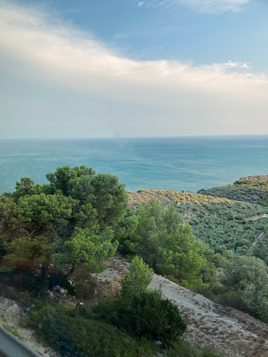 Monte Sant'Angelo - Panoramica JUNNO dir.MSA